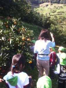 IMG_7989 IMG_7989.jpg