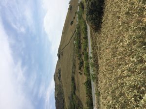 D947F69C-2E53-47BC-B352-AAFA94DD48E6